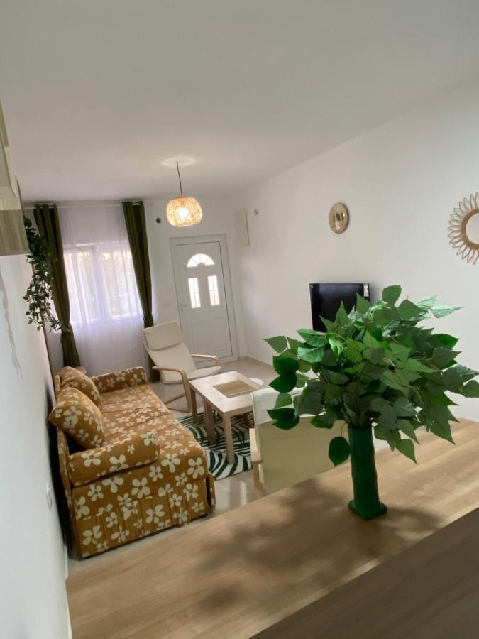 Kotor Apartman Green Sailor公寓 外观 照片